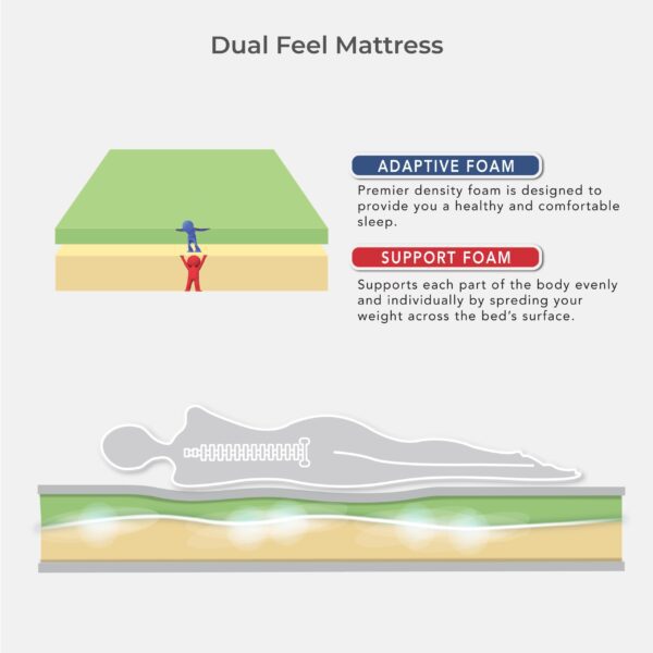 Goodnite Eazy Dream Compress Premier Density Foam Mattress (9 Inch) with Single/ Super Single/ Queen/ King