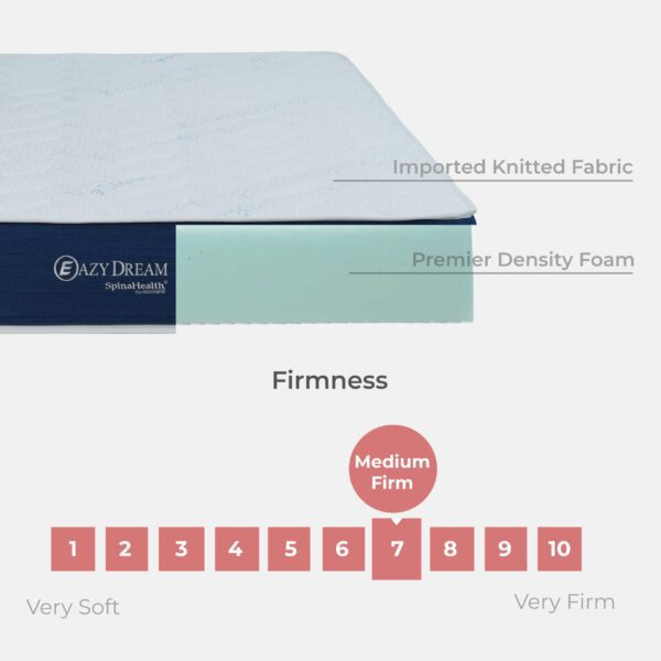 Goodnite Eazy Dream Compress Premier Density Foam Mattress (9 Inch) with Single/ Super Single/ Queen/ King