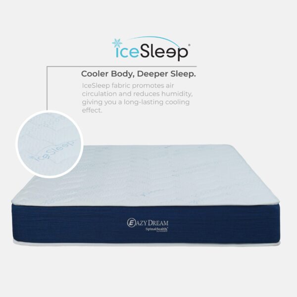 Goodnite Eazy Dream Compress Premier Density Foam Mattress (9 Inch) with Single/ Super Single/ Queen/ King