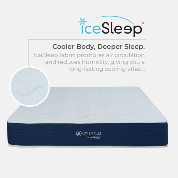 Goodnite Eazy Dream Compress Premier Density Foam Mattress (9 Inch) with Single/ Super Single/ Queen/ King