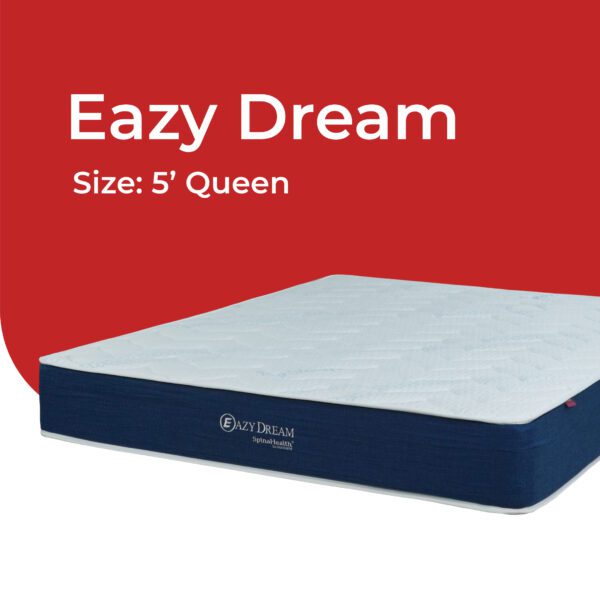 Queen Size Mattress